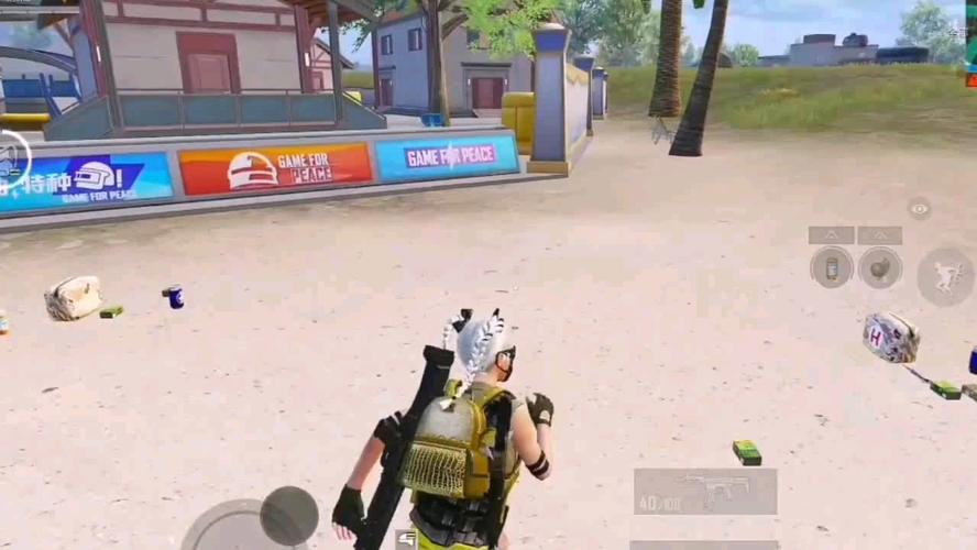 和平精英《火锅》辅助